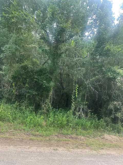 tbd Cedar Valley Dr, Coldspring, TX 77331 photo 7
