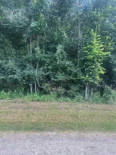 tbd Cedar Valley Dr, Coldspring, TX 77331 photo 9