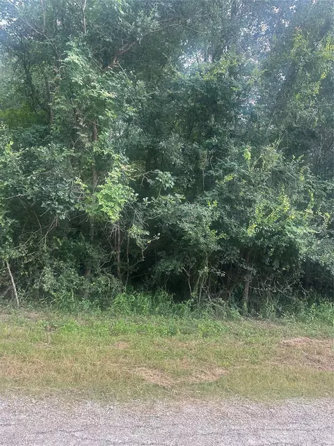 tbd Cedar Valley Dr, Coldspring, TX 77331 photo 8
