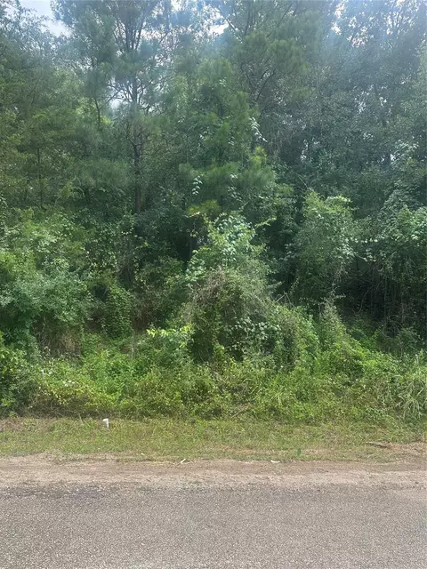 tbd Cedar Valley Dr, Coldspring, TX 77331 photo 3