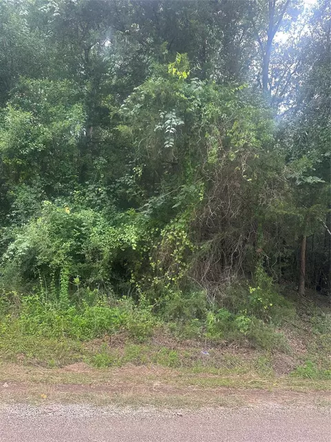 tbd Cedar Valley Dr, Coldspring, TX 77331 photo 4