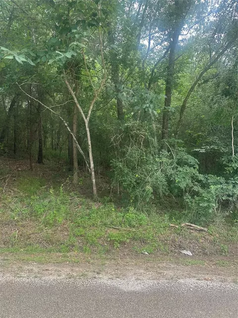 tbd Cedar Valley Dr, Coldspring, TX 77331 photo 6