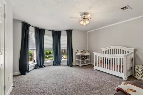 Other - 17618 Hidden Forest Dr, Spring, TX 77379 photo 8 of 12