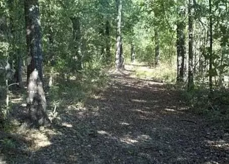 12184 Private Road 2350, Oakwood, TX 75855