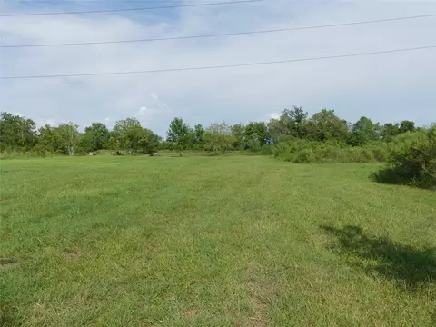 20119 E Paloma Loop, Rosharon, TX 77583