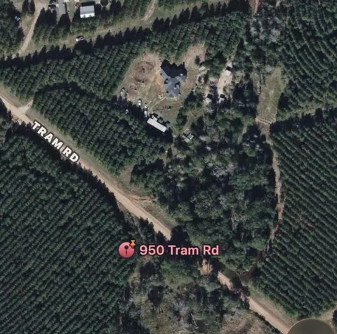 950 Tram Rd, Livingston, TX 77351
