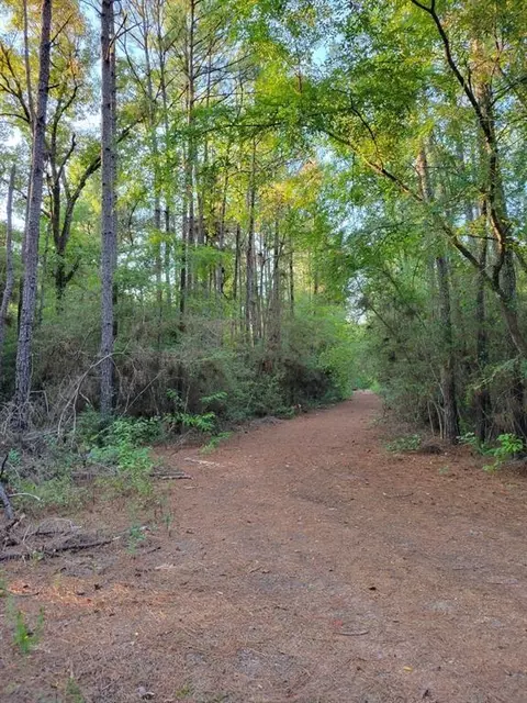 tbd Honeylocust Ln, Plantersville, TX 77363
