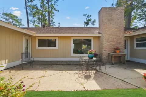 Exterior - 218 Tree Trunk Dr, Spring, TX 77388 photo 5 of 10