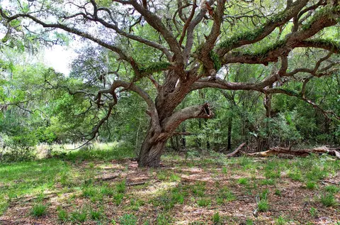 Other - Tbd Harmony Rd, Weimar, TX 78962 photo 2 of 13