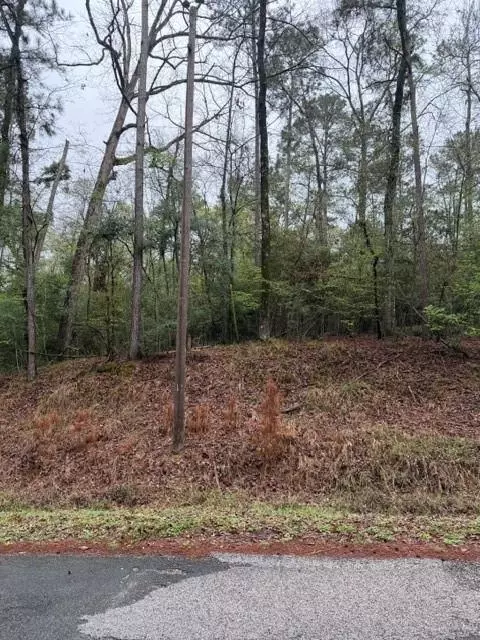 lot39 40 41 S Lakeview Dr, Point Blank, TX 77364