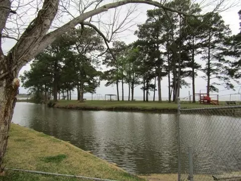 lot24 Gnu St, Onalaska, TX 77360 photo 19