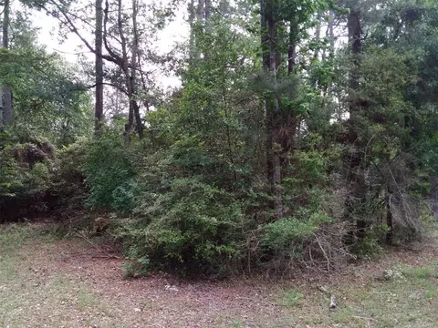 lot24 Gnu St, Onalaska, TX 77360 photo 23