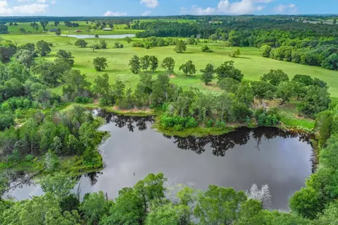 100 Acres Fm 773, Grand Saline, TX 75140