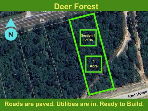 327 Iron Horse Rd, Willis, TX 77378