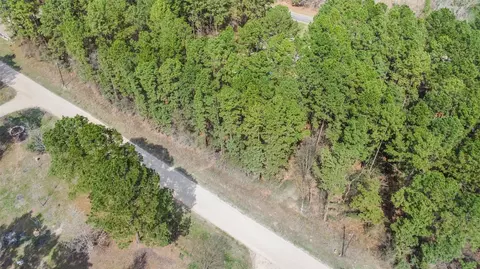 lot720 Sand Dollar Dr, Livingston, TX 77351