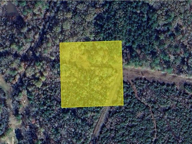 1430 Island Dr, Sour Lake, TX 77373