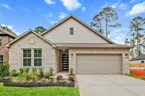 522 Tawny Rim Dr, Willis, TX 77318