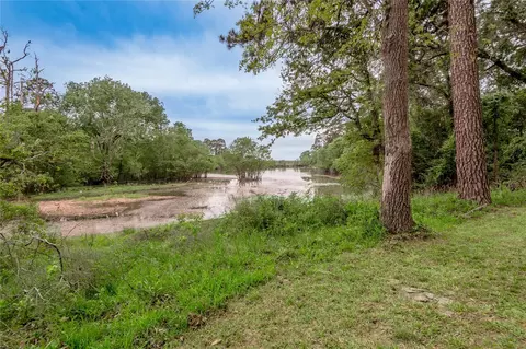 View/Area - 318 Timberline Dr, Trinity, TX 75862 photo 3 of 9