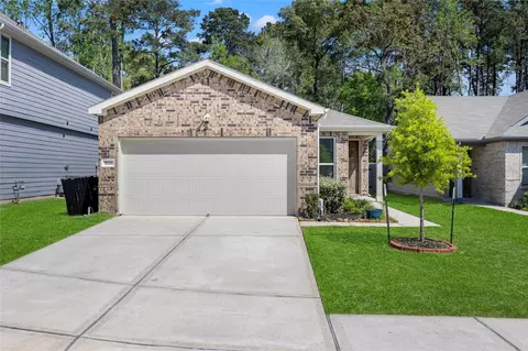 9550 Louis Phillip St, Magnolia, TX 77354