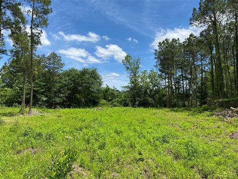 185 Shoemaker Rd, Shepherd, TX 77371 photo 1