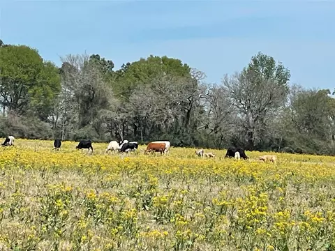 9877 County Road 112, Centerville, TX 75833