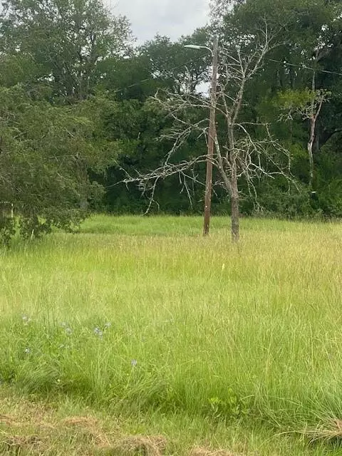 3284 County Road 117, Bedias, TX 77831
