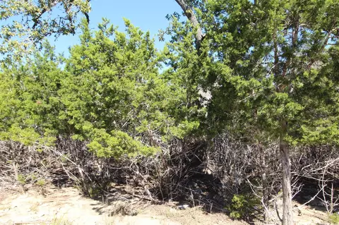 357 Big Bend Dr, Canyon Lake, TX 78133