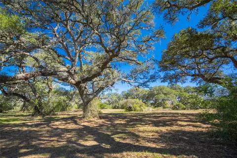 1293 Pintail, Columbus, TX 78934