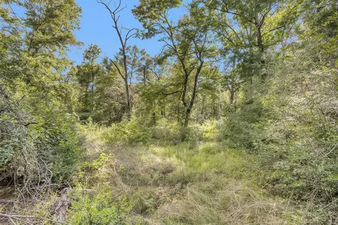 Other - 14657 Cedar Lane Loop, Willis, TX 77378 photo 2 of 6
