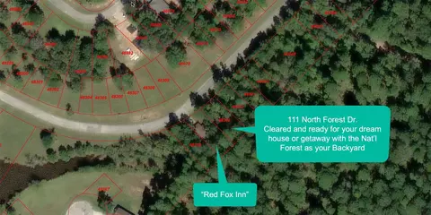 111 N Forest Dr, Huntsville, TX 77340