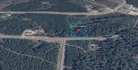 15720 Grey Hawk Ln, Willis, TX 77378