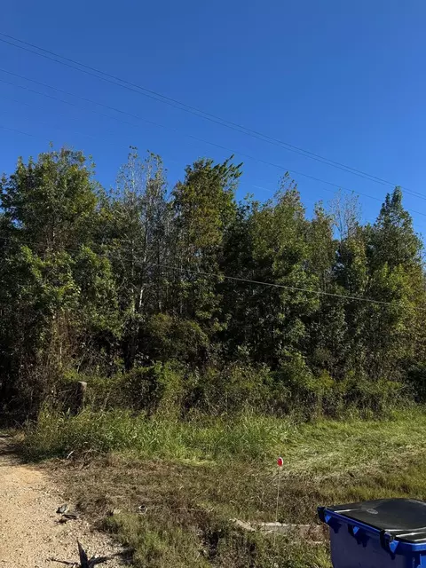 1563 Highway 105 E, Liberty, TX 77575 photo 6