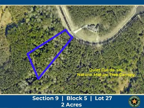 16247 Golden Wood Ct, Willis, TX 77378