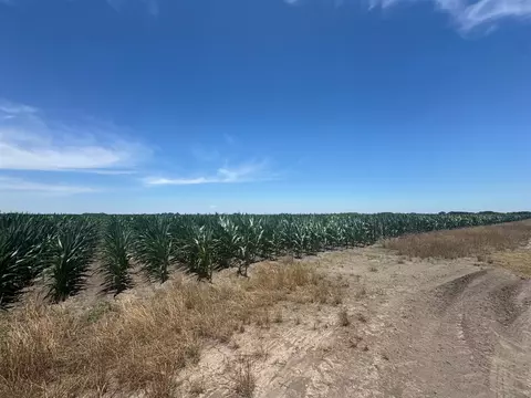 tbd Cr 335 Rd, Louise, TX 77455