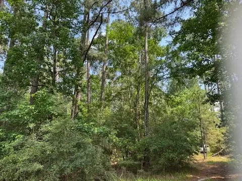 91 Meadow Lake Dr, Trinity, TX 75862 photo 9