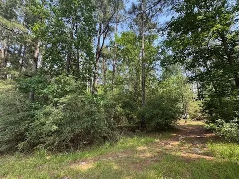 91 Meadow Lake Dr, Trinity, TX 75862 photo 8