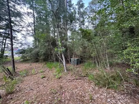 91 Meadow Lake Dr, Trinity, TX 75862 photo 3