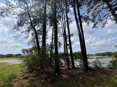 91 Meadow Lake Dr, Trinity, TX 75862 photo 7
