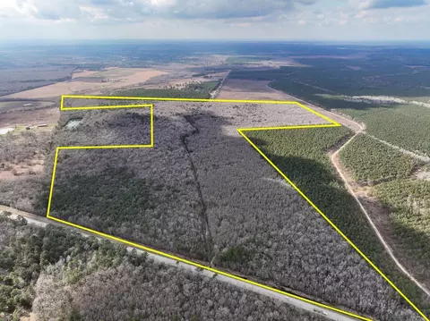 1 Fm 770, Saratoga, TX 77585