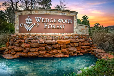 View/Area - 6015 Diamond Leaf Ct, Conroe, TX 77304 photo 5 of 5