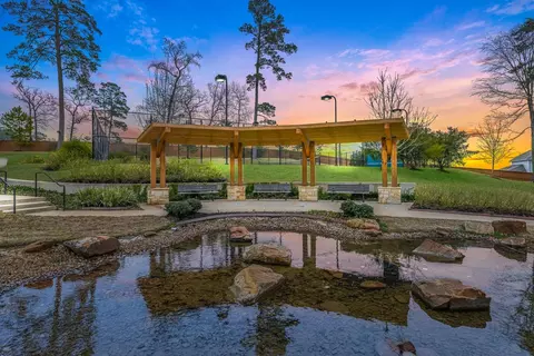 View/Area - 6015 Diamond Leaf Ct, Conroe, TX 77304 photo 4 of 5