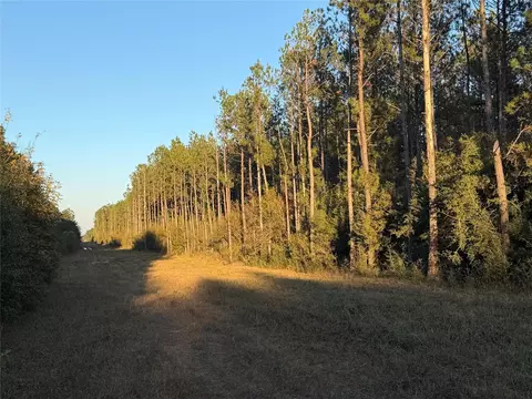 lot39 Carter Ranch Rd, Kountze, TX 77625