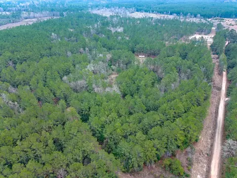 209 Joskey Dykes Rd, Zavalla, TX 75980