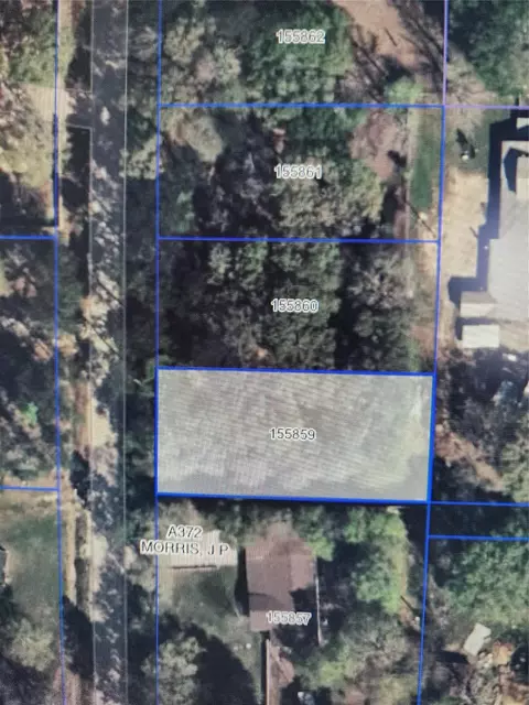 33010 Octavia Dr, Magnolia, TX 77354