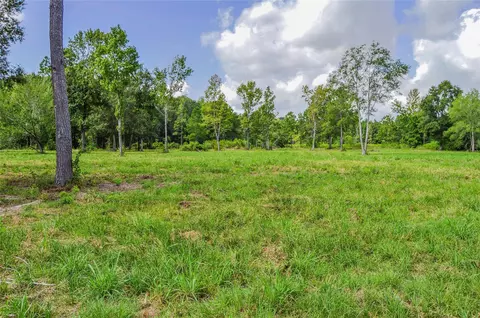 5 Ac Hwy 321, Cleveland, TX 77327