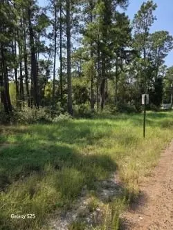 10978 Oak Forest Dr, Plantersville, TX 77363