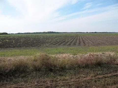 28002 Highway 36 At County Road 21 Hwy, Damon, TX 77430