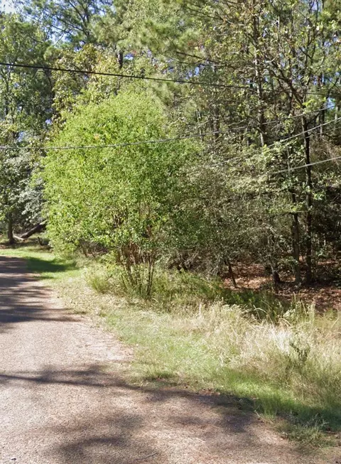 110 Pine Point Cir, Onalaska, TX 77360 photo 2