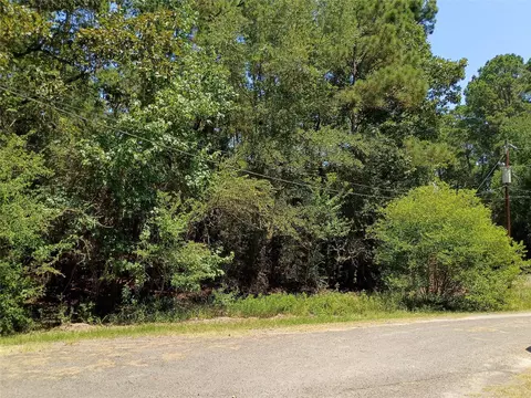 110 Pine Point Cir, Onalaska, TX 77360 photo 14