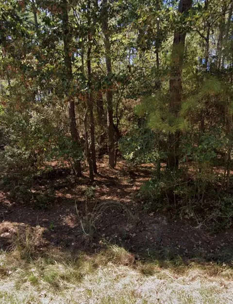 110 Pine Point Cir, Onalaska, TX 77360 photo 20